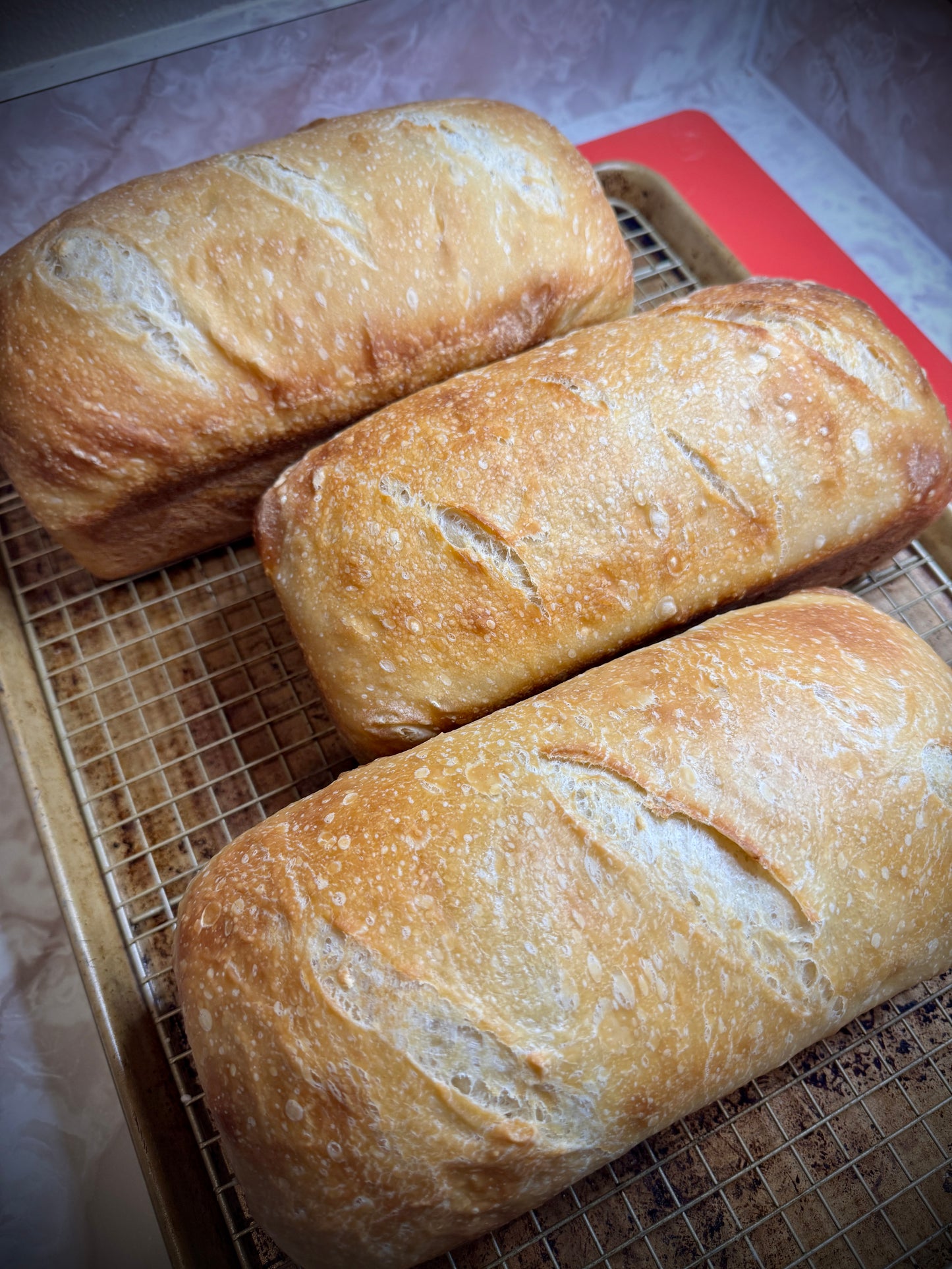 Soft Sourdough Sandwich Loaf
